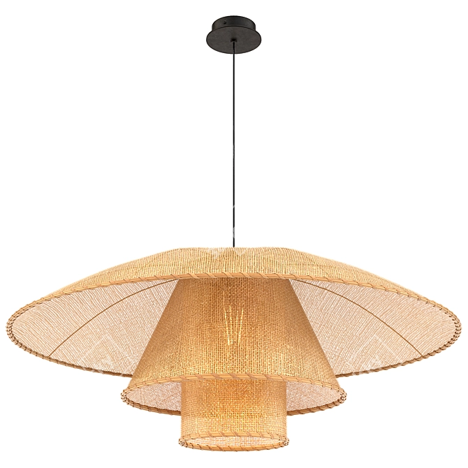 Lola Rattan Pendant: Stylish Lighting Solution 3D model image 1