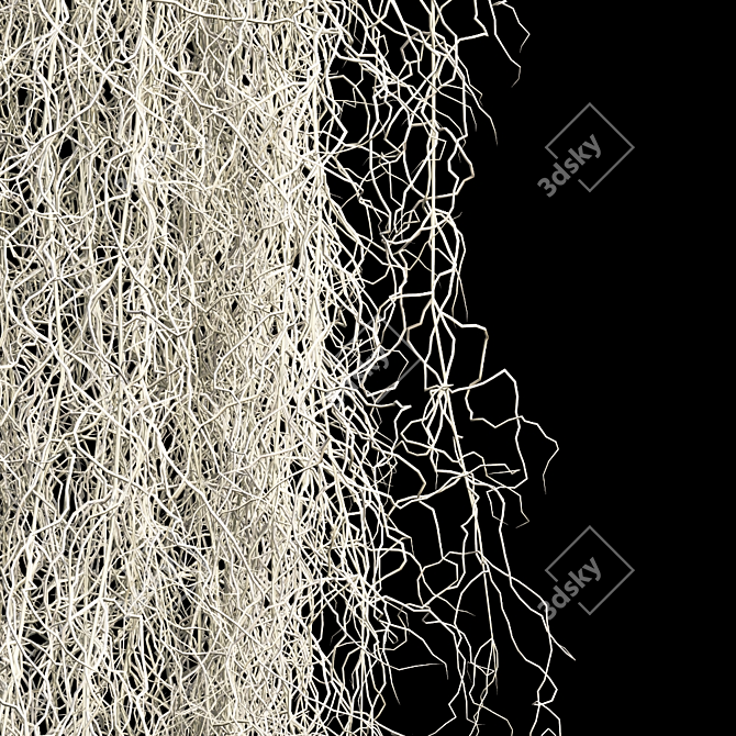 Spanish Moss 3D Model Bundle 3D model image 2