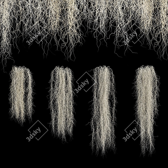 Spanish Moss 3D Model Bundle 3D model image 4
