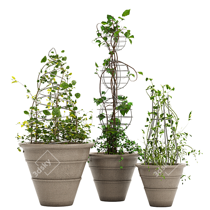 Versatile Ivy Plant Stand Set 3D model image 1