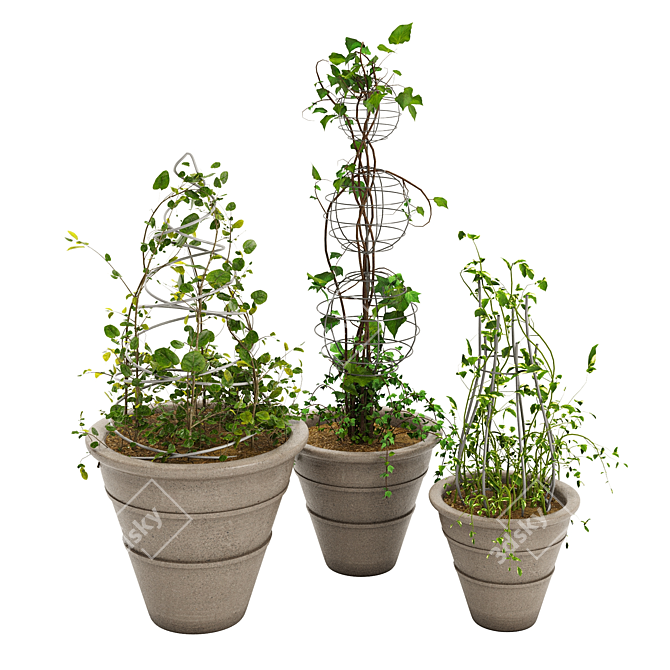 Versatile Ivy Plant Stand Set 3D model image 2