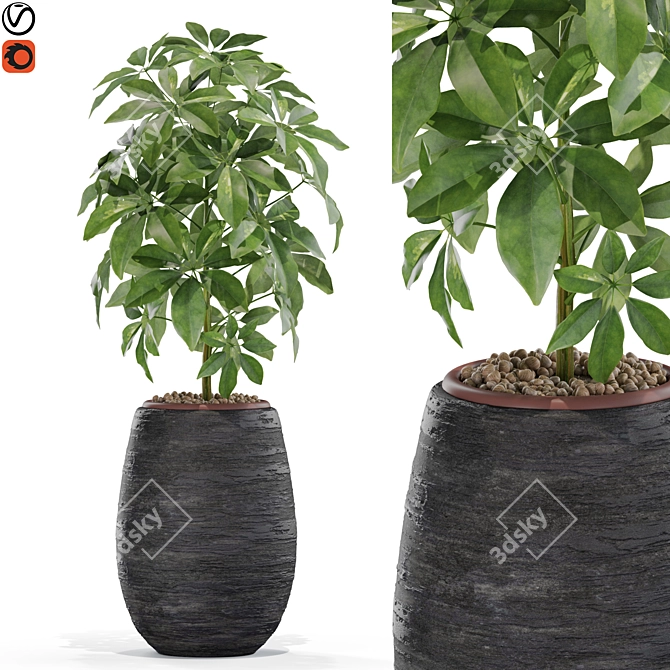 567 Plant Collection: Stunning and Versatile Greenery 3D model image 1