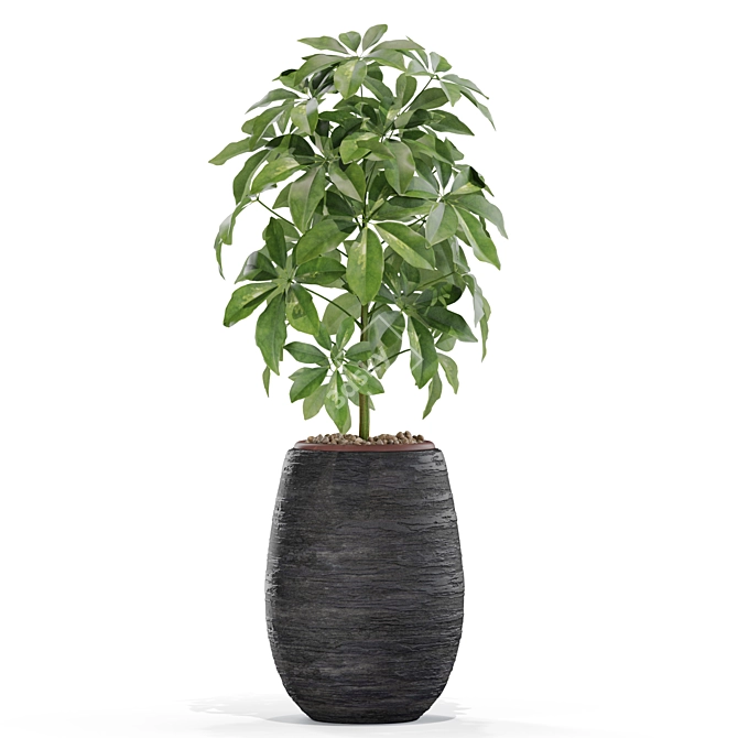 567 Plant Collection: Stunning and Versatile Greenery 3D model image 2