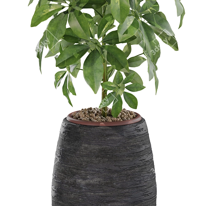 567 Plant Collection: Stunning and Versatile Greenery 3D model image 3