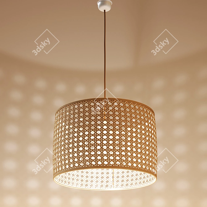 Natural Rattan Chandelier DOLKIE 3D model image 4