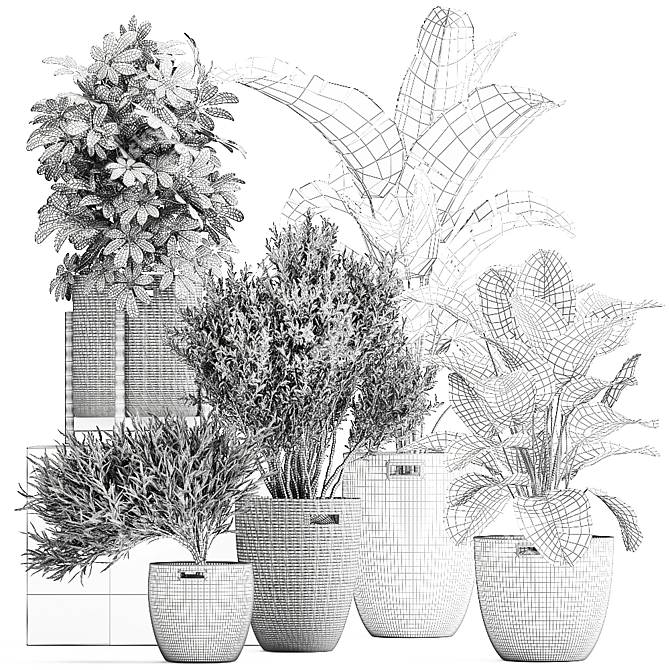 Tropical Plant Collection: Exotic & Decorative Trees and Flowers 3D model image 6
