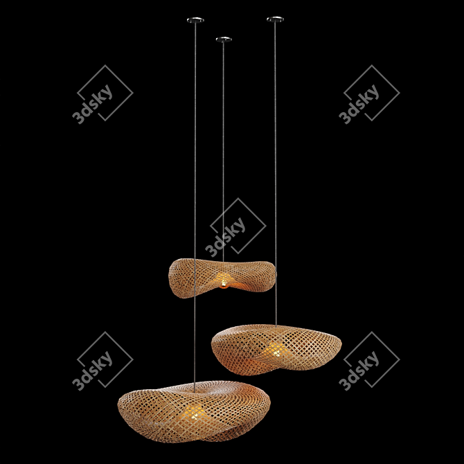 Translucent Rattan Pendant Lights 3D model image 7