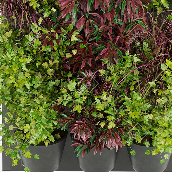 Title: Premium Plant Collection - Vol 243 3D model image 4