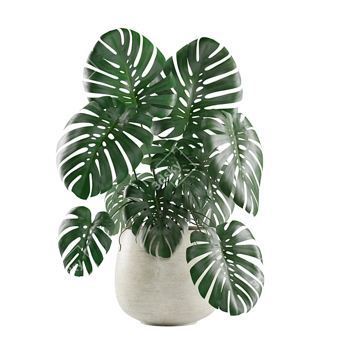 Tropical Vibes: Monstera Deliciosa 3D model image 1