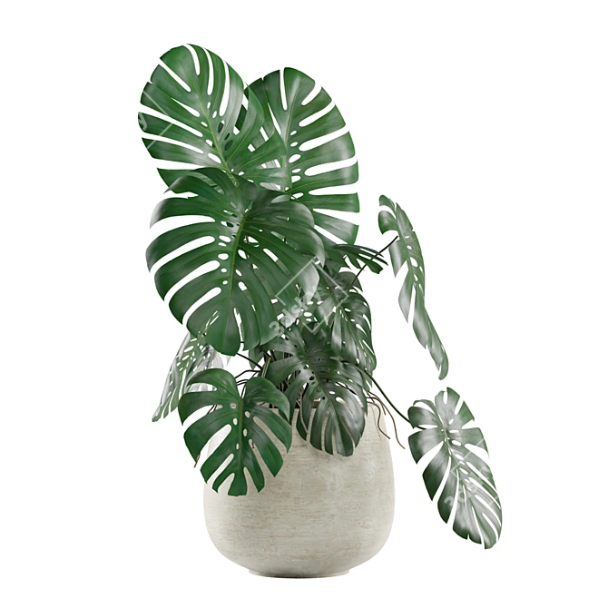 Tropical Vibes: Monstera Deliciosa 3D model image 4