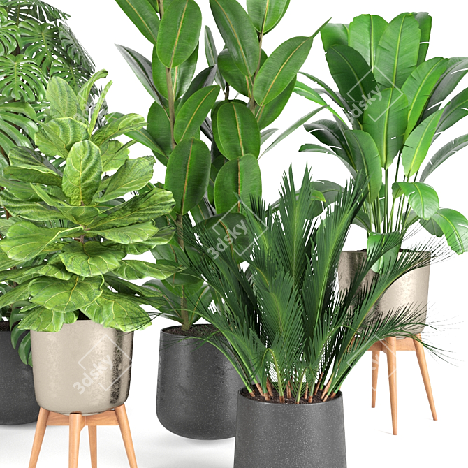 Botanical Bliss: RPM Plant Collection 3D model image 3