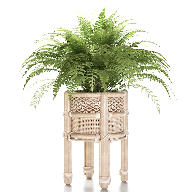 Natural Rattan Fern Pot 3D model image 1