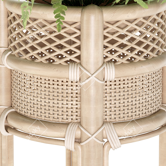 Natural Rattan Fern Pot 3D model image 5