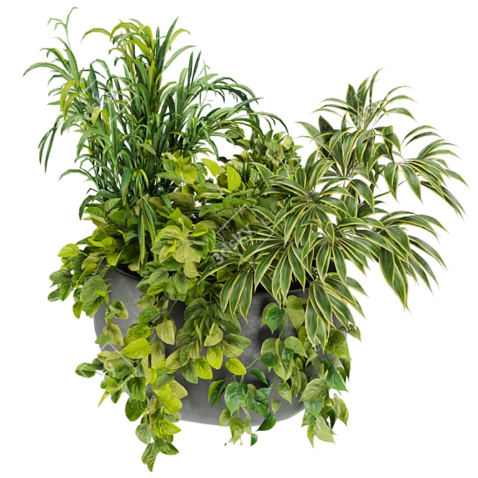 Indoor Houseplants Collection Vol 247 3D model image 6