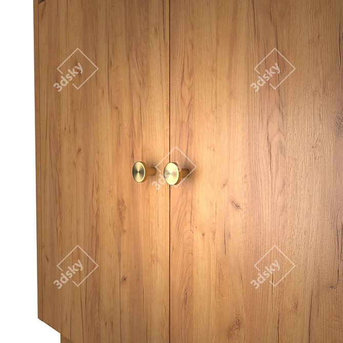 Silvia Oak and Rattan Bar Cabinet 3D model image 4