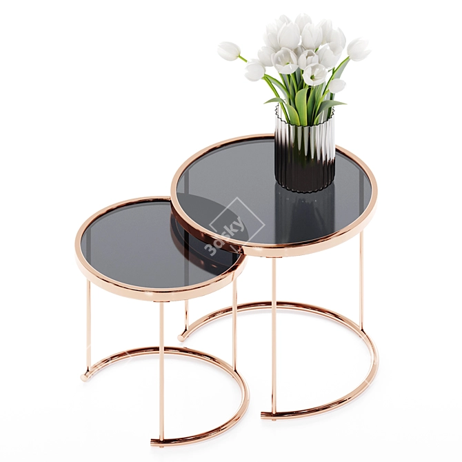 Rose Gold Glass Top Tables 3D model image 1