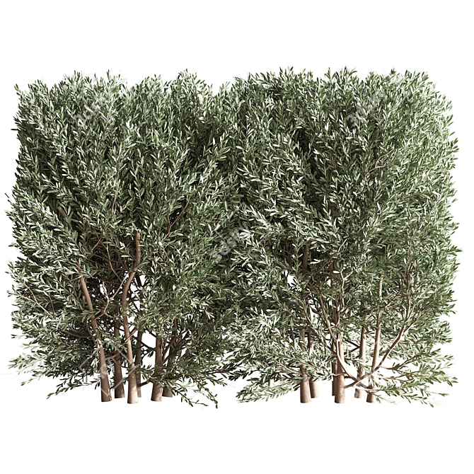Bush02: Versatile 2015 3D Model 3D model image 2