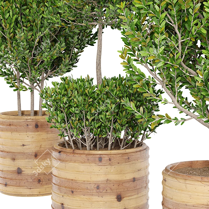 Lush Living: Indoor plant collection 3D model image 2
