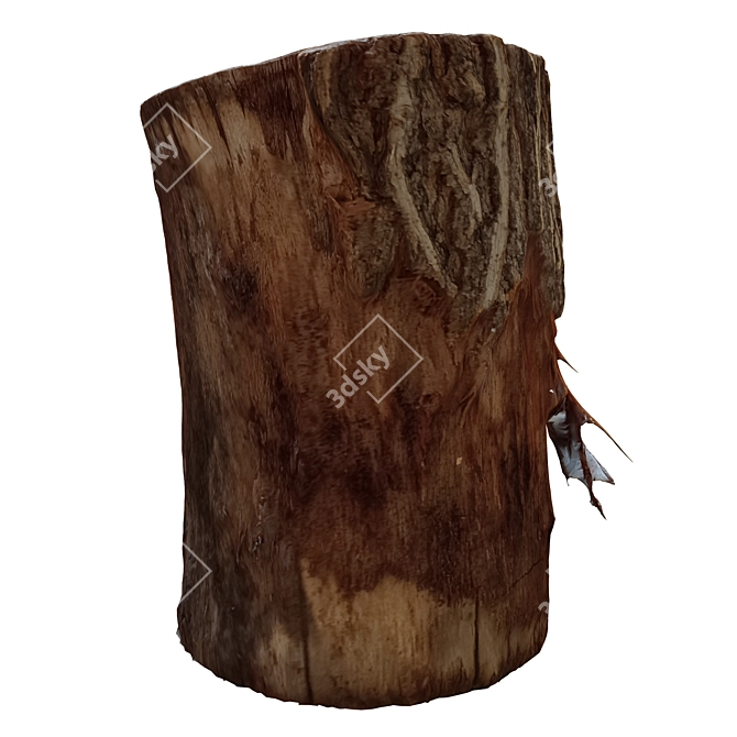 Vintage Tree Trunk Sculpture 3D model image 5