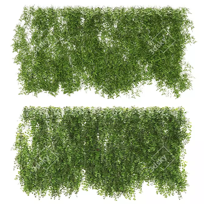 Tropical Rusty Pot Plants 3D model image 1