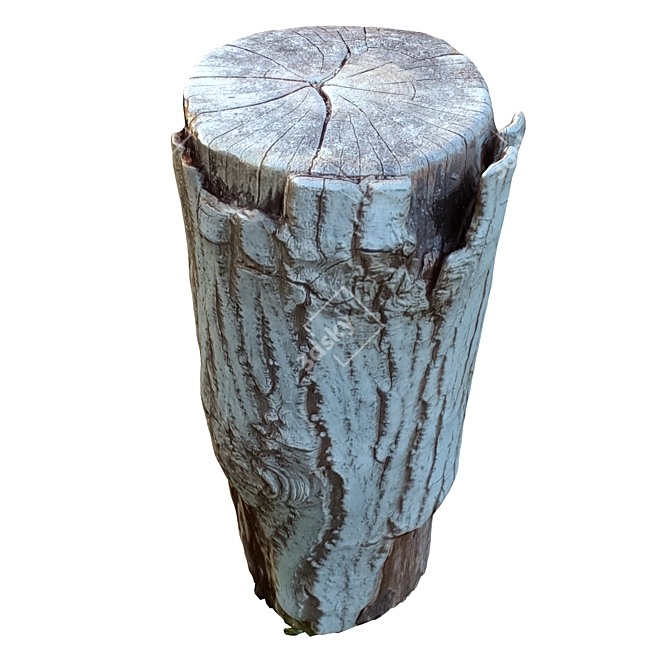 15 Trunk Tree Sculpture 3D model image 3