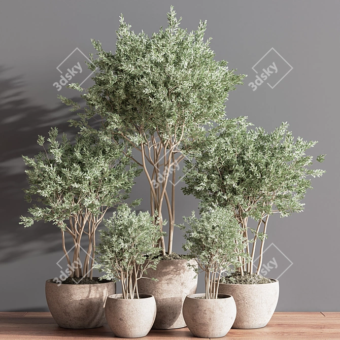 Elegant Indoor Plant Set 3D model image 2