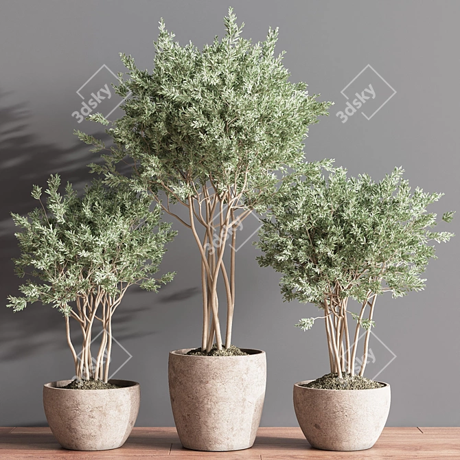 Elegant Indoor Plant Set 3D model image 5