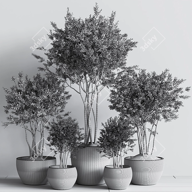 Elegant Indoor Plant Set 3D model image 6