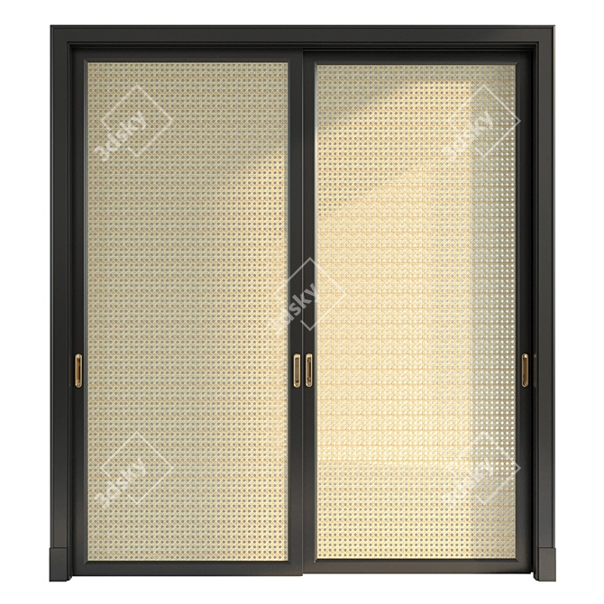 Dual Material Doors - Versatile Options 3D model image 1