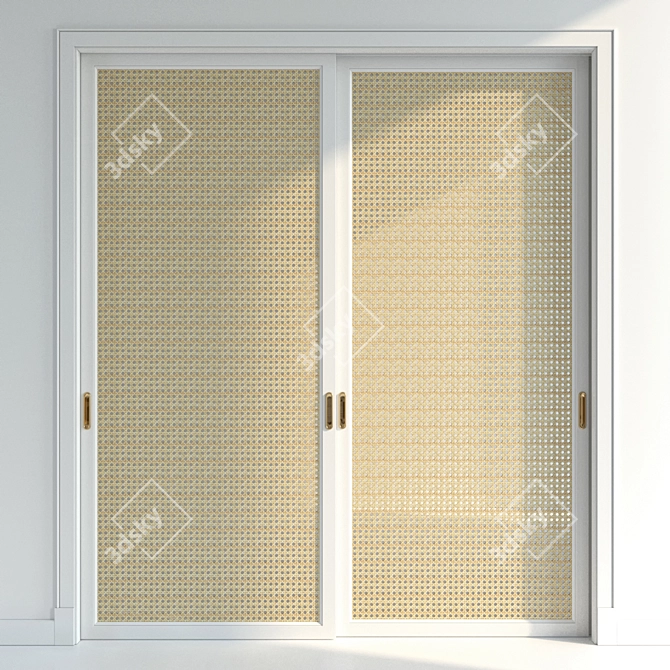 Dual Material Doors - Versatile Options 3D model image 2