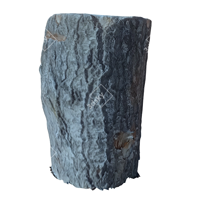 Natural Wood Tree Trunk 28 3D model image 3