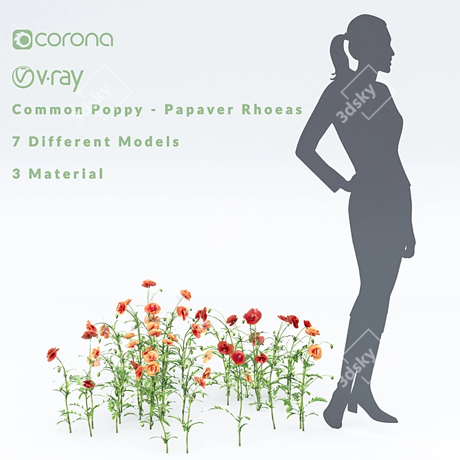 Bursting Blooms: Poppy Flower Model 3D model image 3