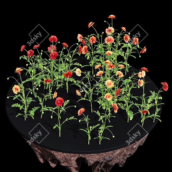Bursting Blooms: Poppy Flower Model 3D model image 4