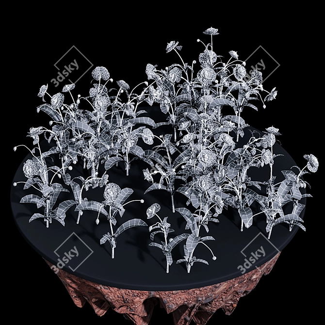 Bursting Blooms: Poppy Flower Model 3D model image 5