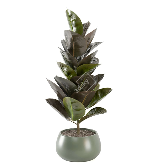 Enchanting Indoor Plants Collection 3D model image 3