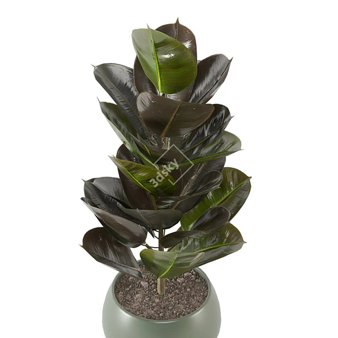 Enchanting Indoor Plants Collection 3D model image 4