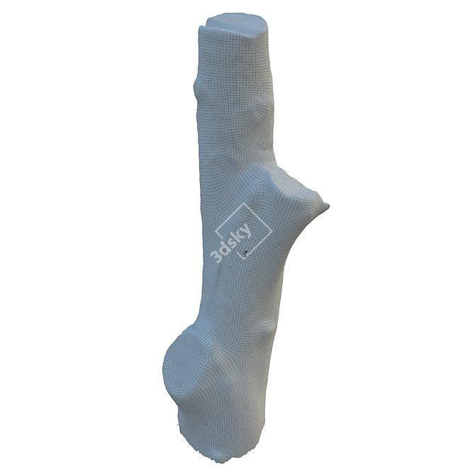 Natural Wooden Tree Trunk 36 3D model image 6