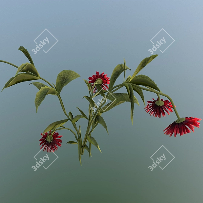 Thirsty Flower  3D Model for V-Ray 5 3D model image 4