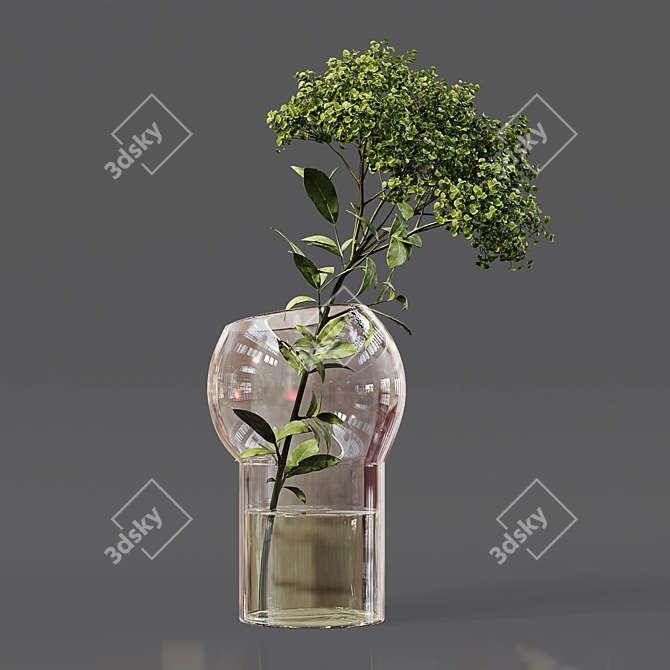 Collaction Indoor Plant Set 3D model image 5