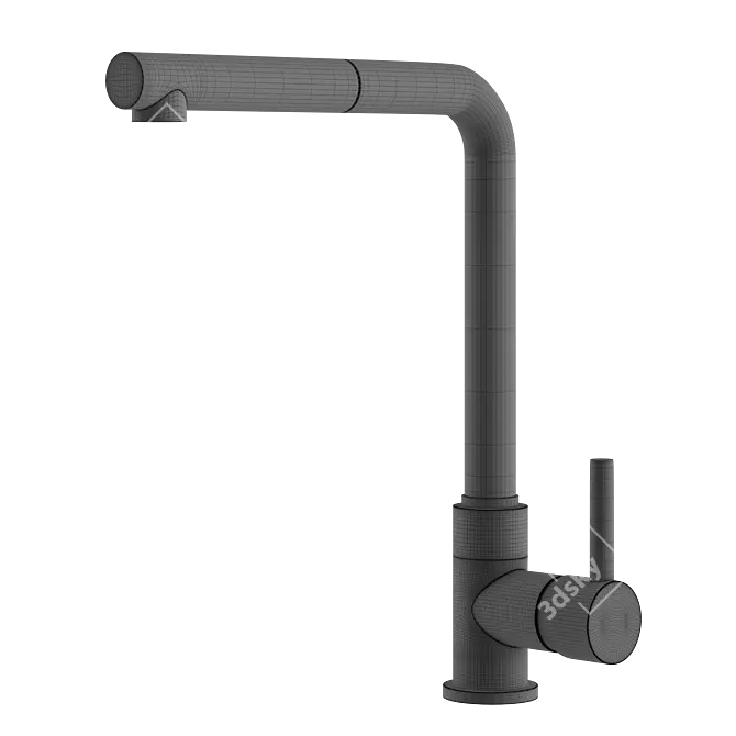 Quadro Brass 269: Kitchen Sink Mixer with Pull-Out Shower 3D model image 3