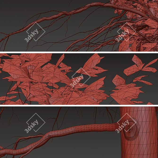 Acer Buergerianum Set: Trident Maple (2 Trees) 3D model image 5