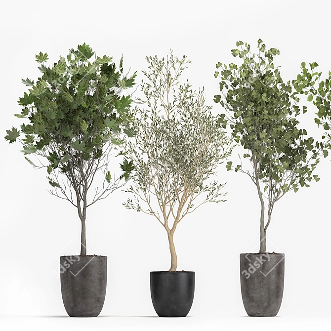 Olive Tree, Ginkgo Biloba & More: 1050-Piece Decorative Plant Collection 3D model image 2