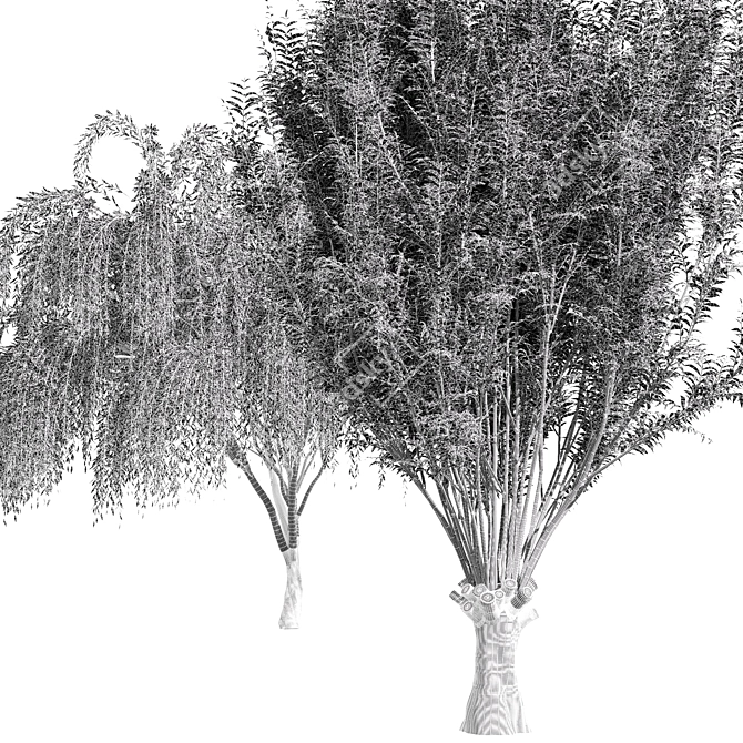 Cascade Willow Tree: Stunning 3D Model 3D model image 4