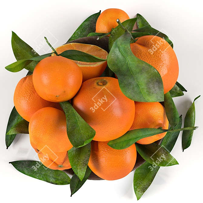 Citrus Delight Bowl: 3D Model Formats 3D model image 2