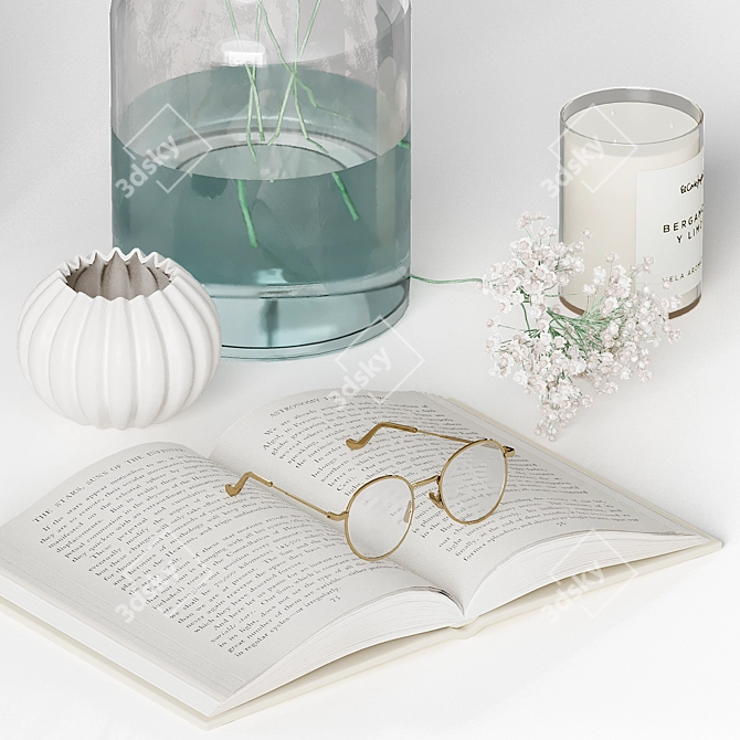 Ethereal Book & Gypsophila Set 3D model image 1