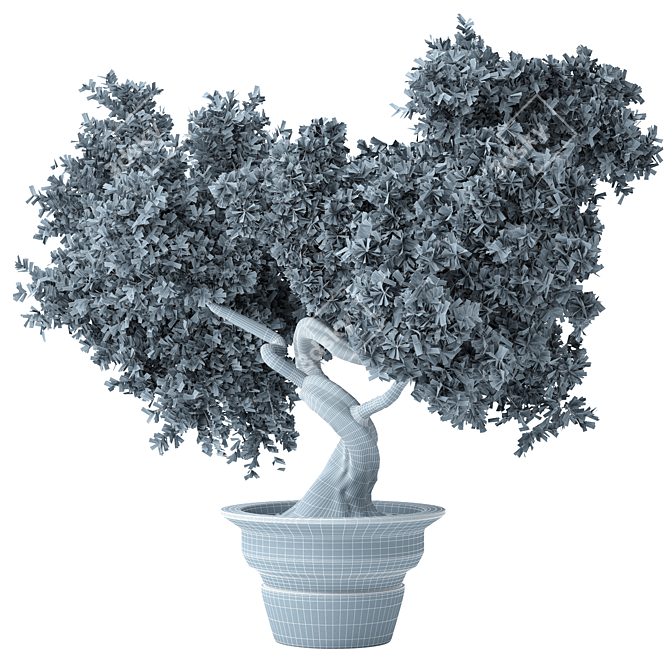 Bonsai Bliss: Indoor Plant Elegance 3D model image 2