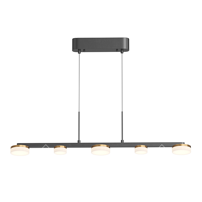 Elegant Disk LED Pendant Light 3D model image 2