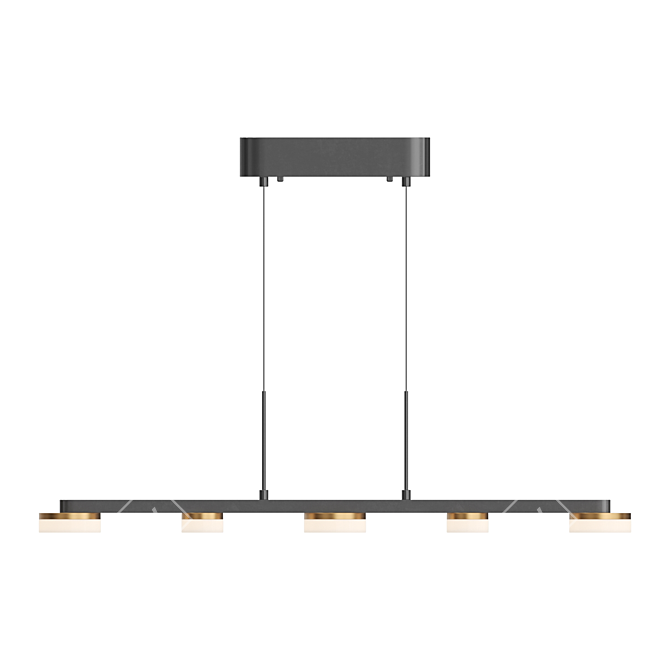 Elegant Disk LED Pendant Light 3D model image 4