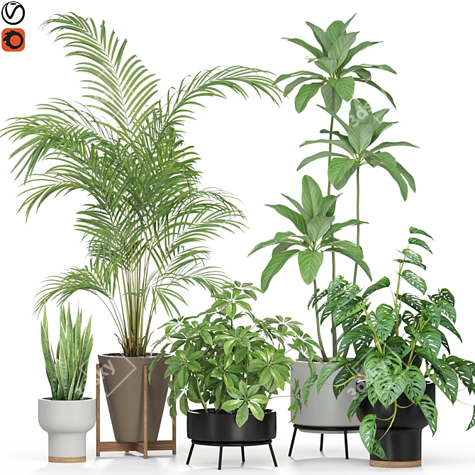 Lush Greenery Collection 596 3D model image 1
