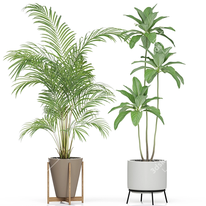 Lush Greenery Collection 596 3D model image 2